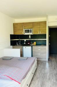 Les Appartements De Lina - Studio Dauphin - Self Check-in