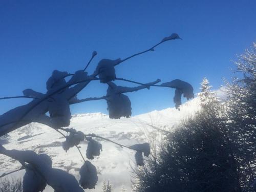 les Arcs 1800