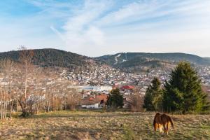 Appartement Les Balcons De La Haie Griselle gîte 4/pers 18 Chemin des dessus du Lycée 88400 Gérardmer Lorraine