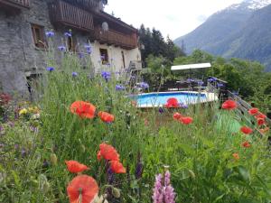 Appartement Les Balcons du Molliebon Lieu-dit Le Molliebon 73700 Séez Rhône-Alpes