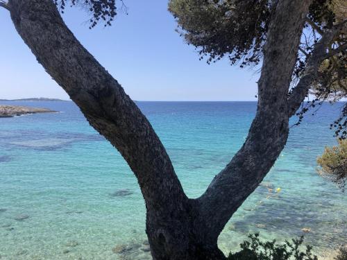 LES BAUX 2 Sanary sur mer