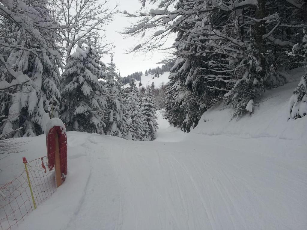 Les Brettaz Route des neiges Hirmentaz, 74470 Bellevaux