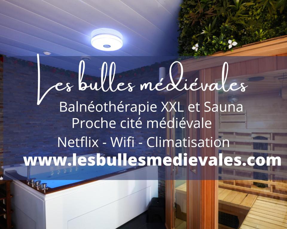 Appartement Les bulles médiévales - Appartement dédié au bien être avec Spa et Sauna - Netflix et Wifi - Climatisation 32 Rue du Pont Vieux 11000 Carcassonne