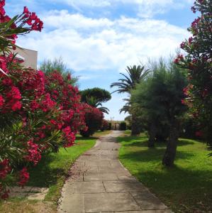 Appartement LES CAPITELLES - Accès direct à la plage depuis le jardin Impasse Donizetti 66750 Saint-Cyprien Languedoc-Roussillon