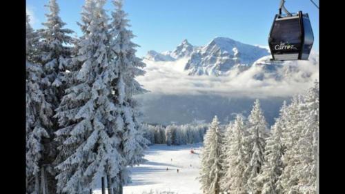 Les Carroz d'Araches