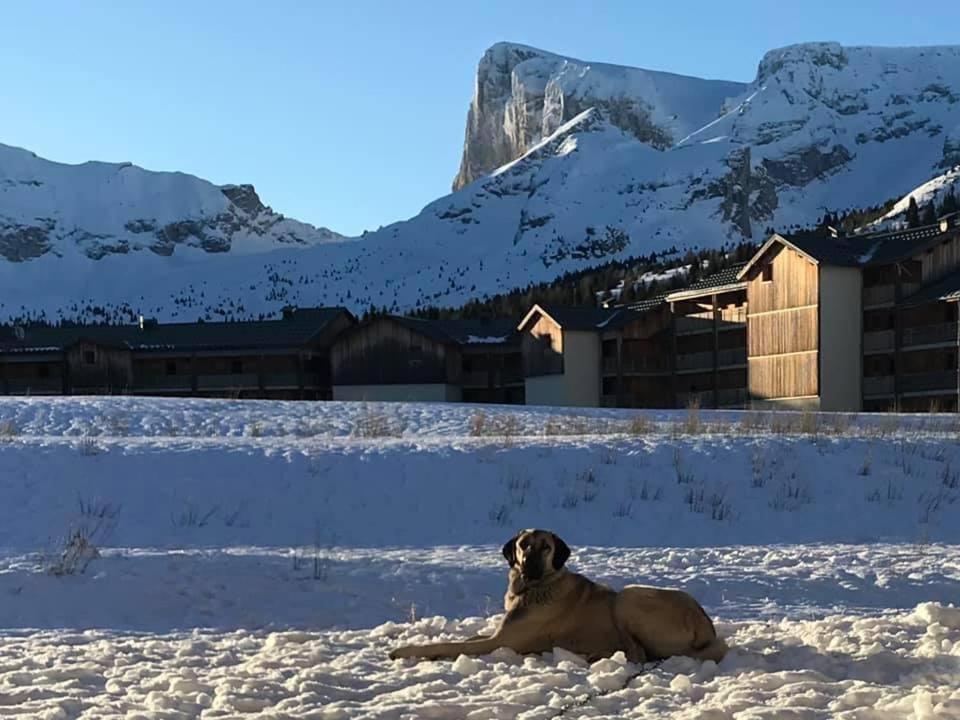 Les chalets de superD, apt 7-9 personnes Super Dévoluy, 05250 Le Dévoluy