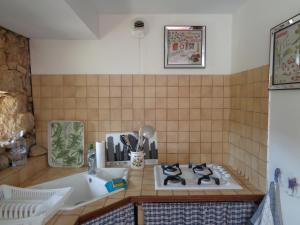 Appartement Les dessous de la grange Le Bourg 46160 Larroque-Toirac Midi-Pyrénées