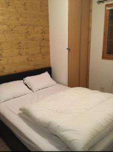Les deux alpes appartement 6 personnes