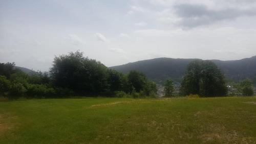 LES DRYADES Vue montagne