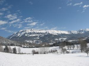 Les Elfes