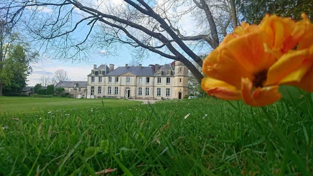 Appartement Les Escuries CHATEAU D'ESCURES HAMEAU d' ESCURES 14520 Commes