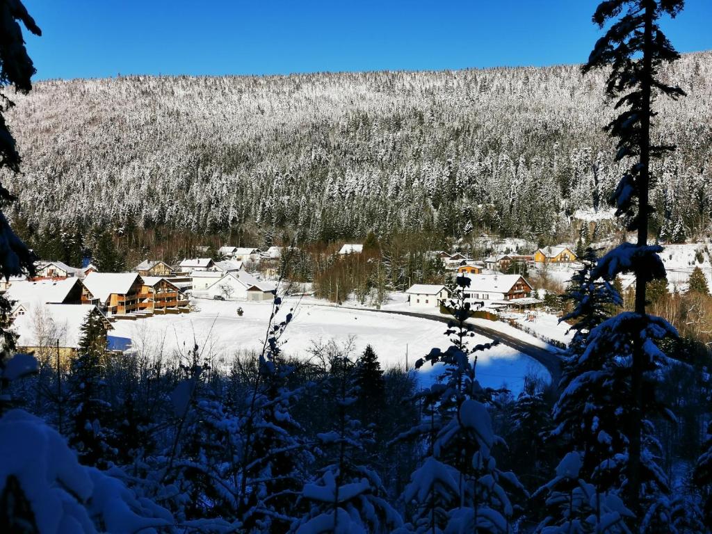 Appartement Les fermes du Lac Gerardmer 175 Chemin du Tour du Lac 88400 Gérardmer