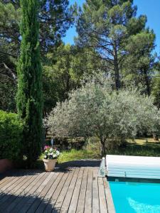 Appartement Les flamants roses 437 Chemin des Madons 84220 Roussillon Provence-Alpes-Côte d\'Azur