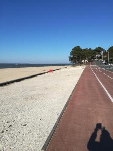 Appartement Les floralies 15 Allee des Floralies 33120 Arcachon Aquitaine