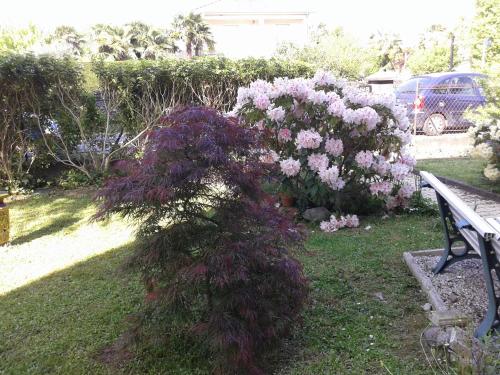 Les Floralies bis