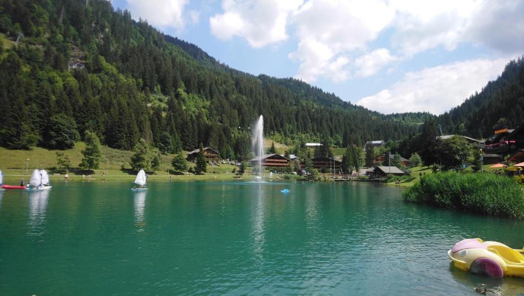 Les gentianes 297 Chemin des Ruisseaux, 74390 Châtel