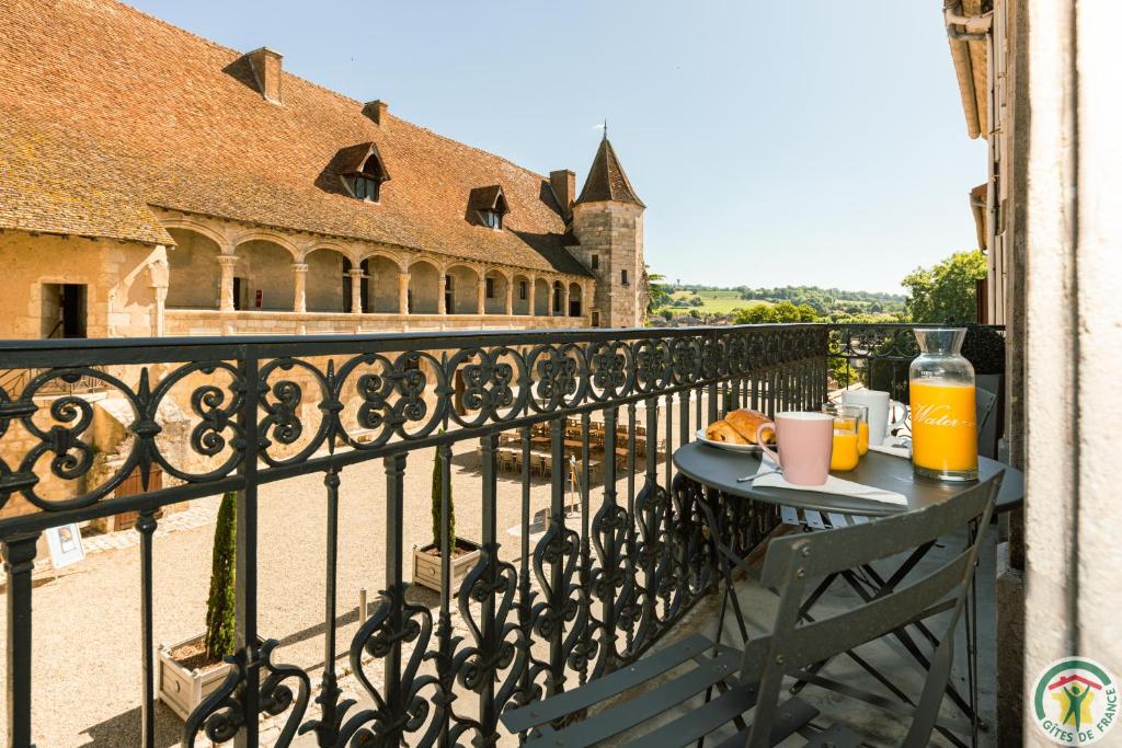 Les Gîtes du château - 2 Magnifiques Appartements face au château Henri IV 11 ter, Rue Henri IV, 47600 Nérac