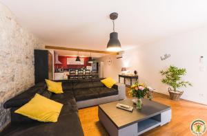 Les Gîtes du château - Le loft HENRI IV - Magnifique Appartement face au château