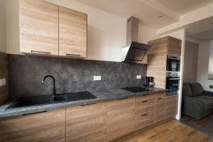Appartement Les Gites Historiques 3 rue Abbe Germini 88500 Mirecourt Lorraine