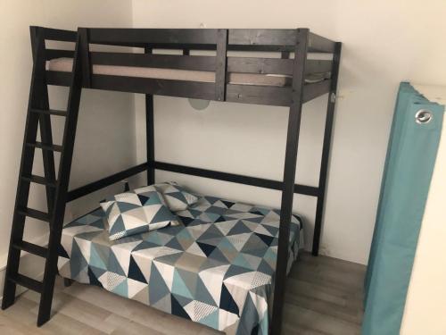 les goélands
