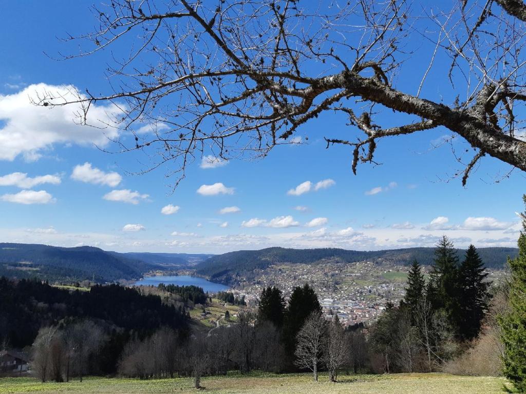 Appartement Les Gouttridos, superbe vue des gouttridos, 182 88400 Gérardmer