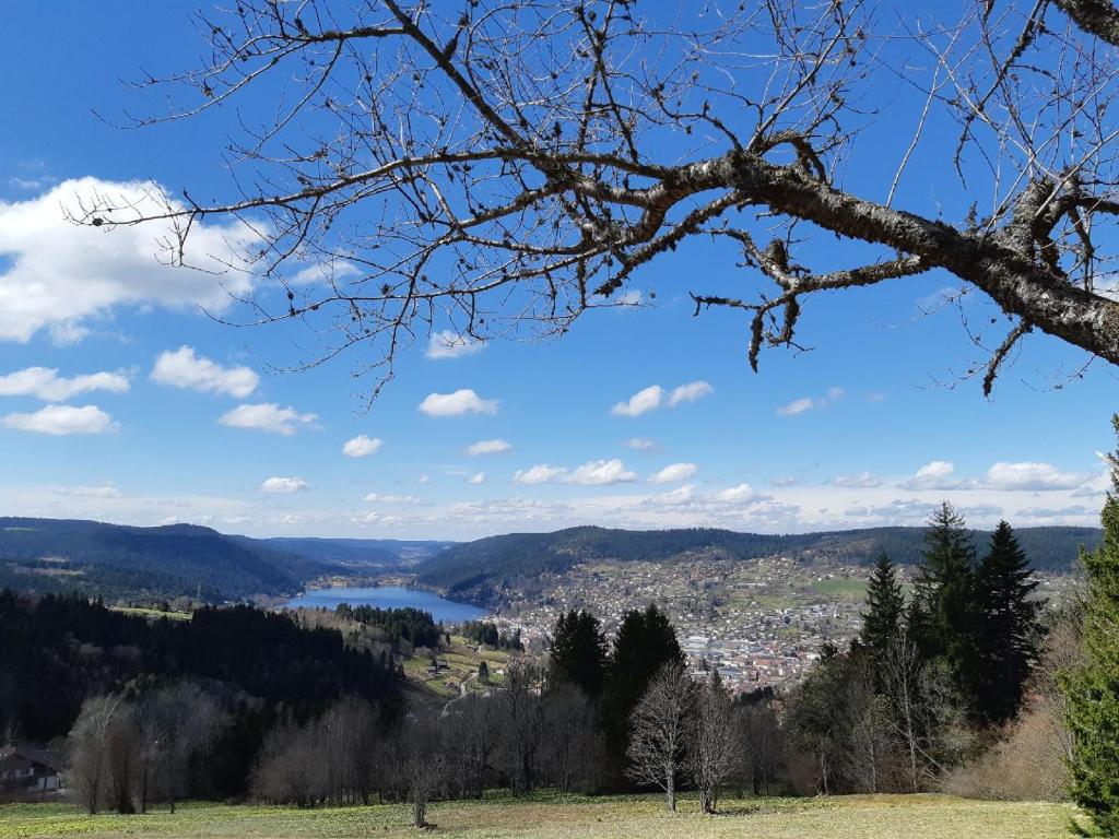 Les Gouttridos, superbe vue des gouttridos, 182, 88400 Gérardmer