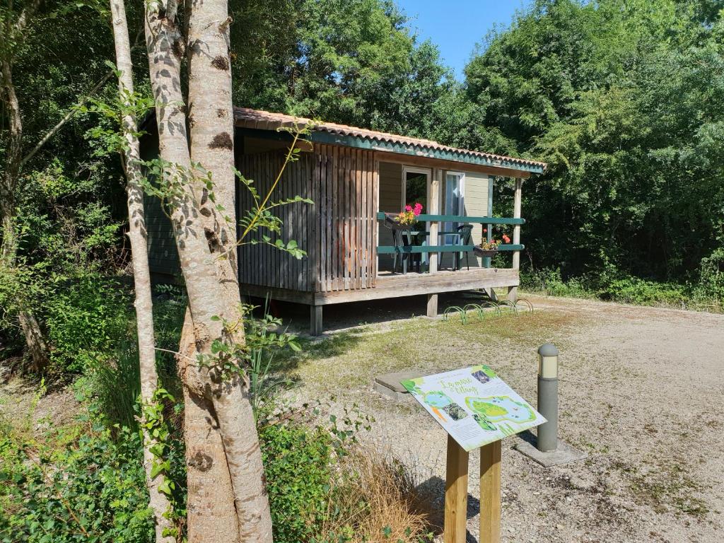 Les GRANDS SORBIERS à Méribel - Charmant studio situé à 2 pas des pistes & du centre de Méribel