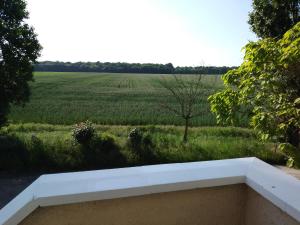 Les Hautes Mougonnières