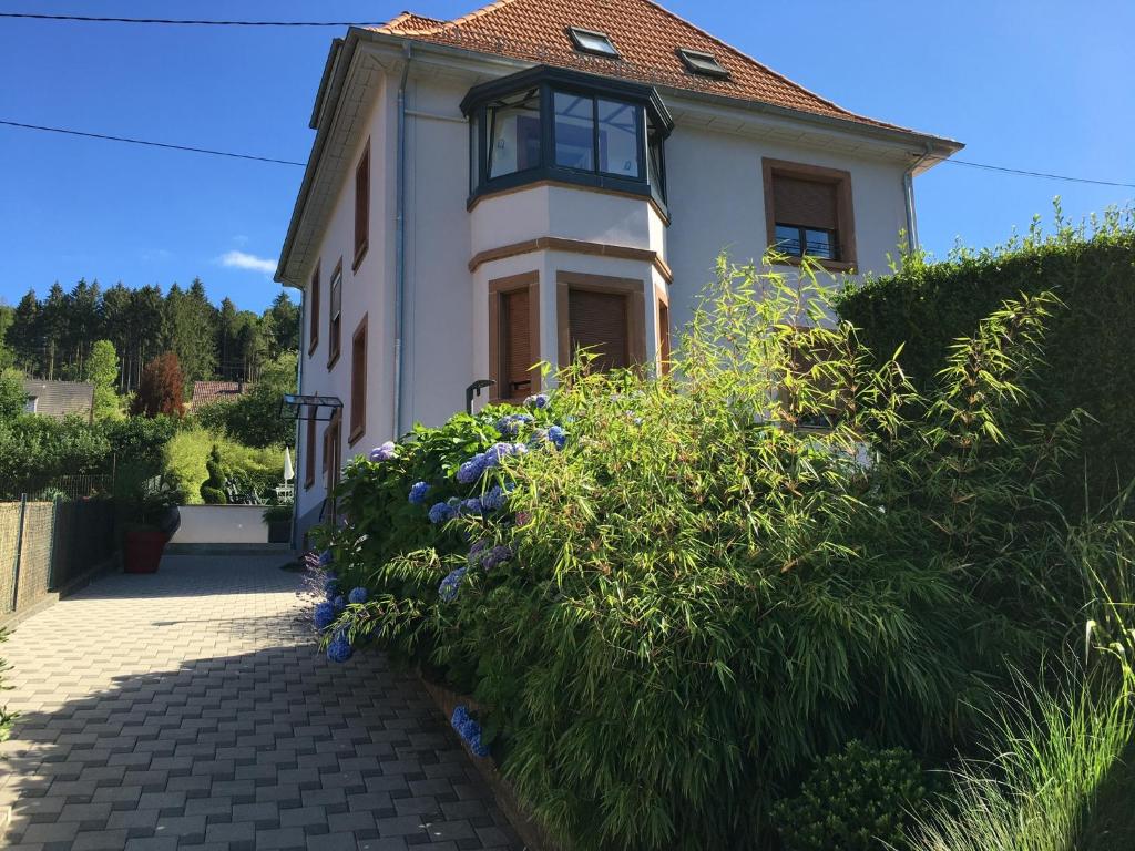 Appartement Les hortensias en Alsace - meublé de tourisme 3 étoiles 29 Rue du Presbytère - 1er Etage 67130 Barembach