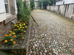 Appartement Les Jardins d'Élise, calme et verdure à Lure 59 Avenue de la République 70200 Lure Franche-Comté