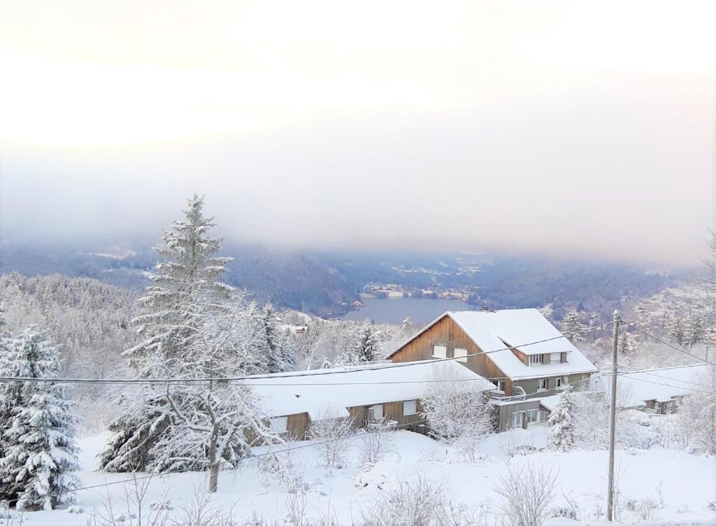 Les Jonquilles: gîte 8/10 pers. avec vue imprenable! 182 Chemin des Gouttridos, 88400 Gérardmer