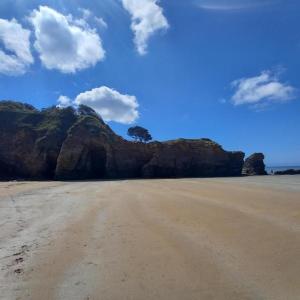 LES LANDES
