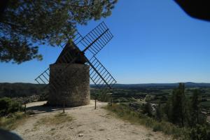 Les lavandes de Sèverine