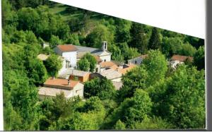 les lavandes