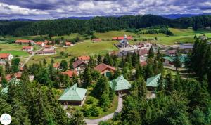 Appartement Les Loges du Jura 4 étoiles 2 Les Pessettes 39150 Prénovel Franche-Comté