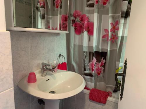 Appartement Les magnolias au soleil 2 Le Petit Corail   batiment 2  porte 3  521 AVENUE DES MAGNOLIAS 83700 Port Santa-Lucia Provence-Alpes-Côte d\'Azur