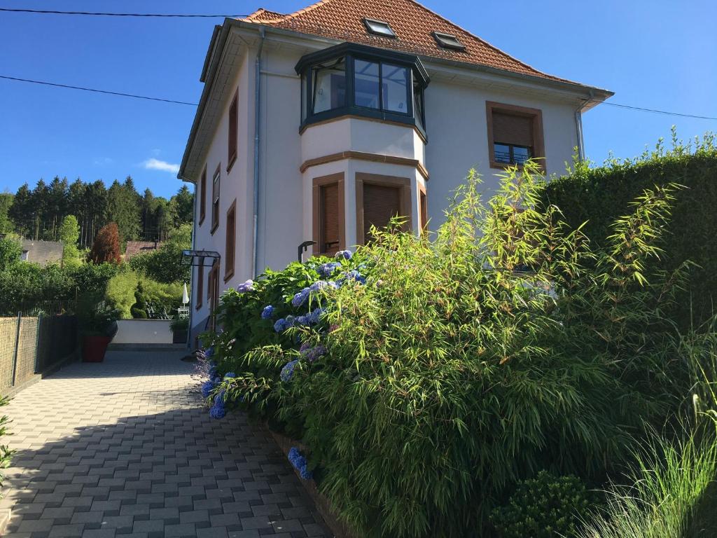 Appartement Les magnolias en Alsace - meublé de tourisme 3 étoiles Rez-De-Jardin 29 Rue du Presbytère 67130 Barembach