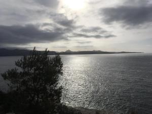 Les Marines Du Soleil