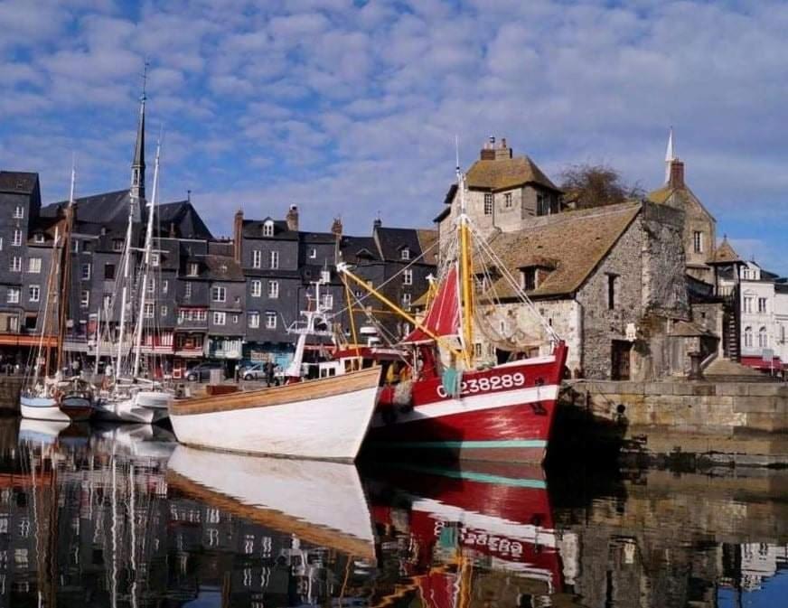 LES MOUETTES DU PORT 2ème étage 8 Route Jean Revel, 14600 Honfleur