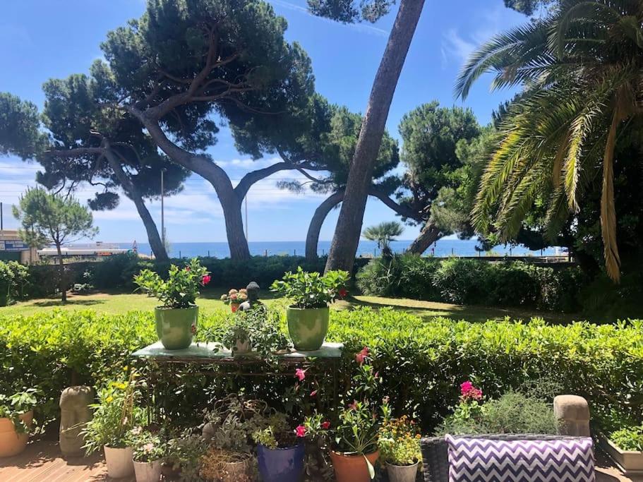 Appartement Les Myrtes Plage & Jardin-Terrasses bord de mer Rez de chaussée 14 Avenue Alexandre Pascal 06400 Cannes