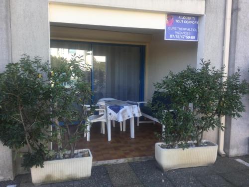 Appartement Les Naïades 6 Allée des Sources 34540 Balaruc-les-Bains Languedoc-Roussillon