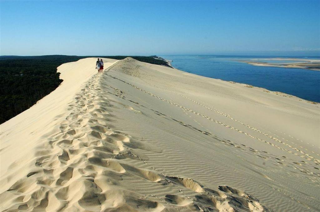 Appartement Les pieds dans l'eau 5 Boulevard de la Plage 33120 Arcachon