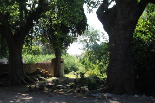 Les Platanes du Domaine, piscine