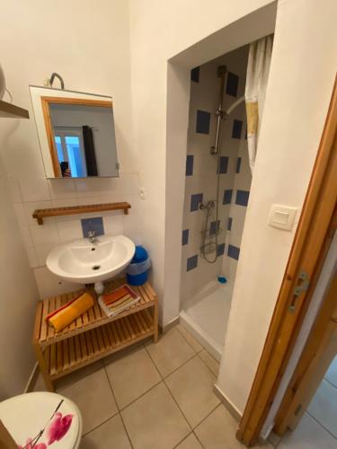 Appartement Les Platanes - Van Gogh Rez de Jardin 9 Avenue Maréchal Joffre 34240 Lamalou-les-Bains Languedoc-Roussillon