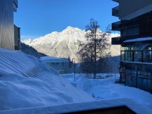 Appartement Les Rousses Résidence Les Adelphies - L'Olmet 38114 Oz Rhône-Alpes