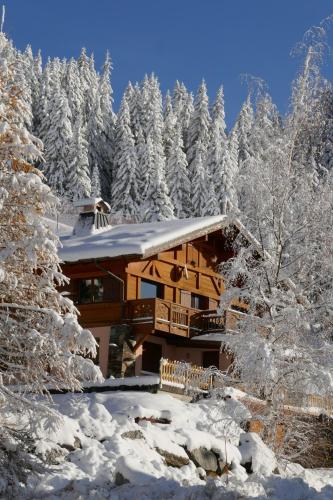 Les Saisies côté Bisanne appartement dans chalet LE Népal