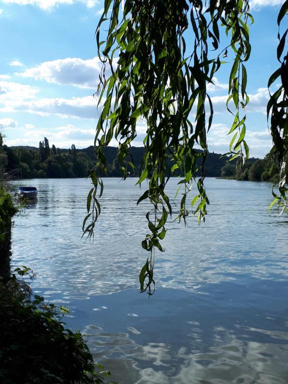 Appartement Les Seringats 48 Avenue de l ile de Migneaux 78300 Poissy