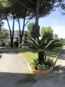 Appartement Les Sirènes 2 Mandelieu la Napoule Les Sirènes 2 533 Boulevard des Écureuils 06210 Mandelieu-la-Napoule Provence-Alpes-Côte d\'Azur