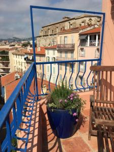 les terrasses du Suquet