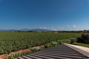 Les Terres Rouges